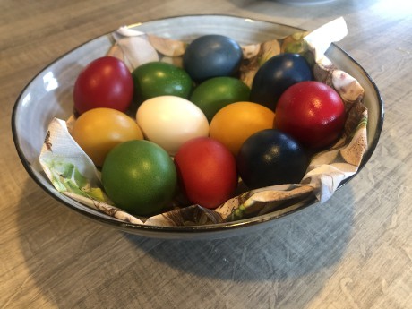 Nabarvená vajíčka u Dašků